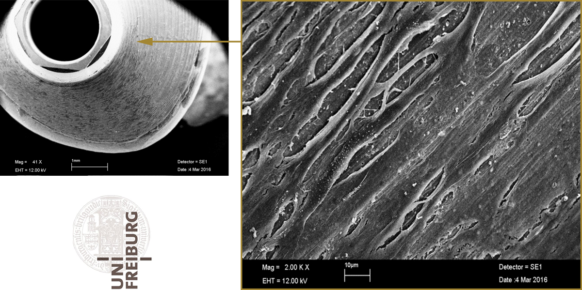 a4l-LTS-base_REM-NCW a4l-LTS-base_REM-NCW